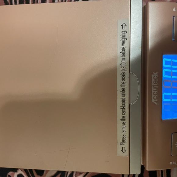 Small pink scale - Picture 7 of 7